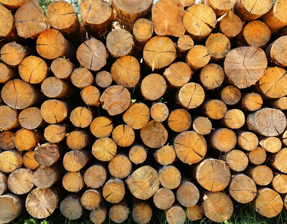 Drewno do kominka drewno kominkowe Warszawa drewno sezonowane Nadarzyn
